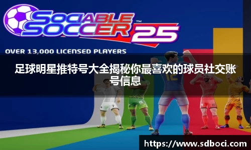 足球明星推特号大全揭秘你最喜欢的球员社交账号信息