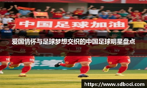 爱国情怀与足球梦想交织的中国足球明星盘点